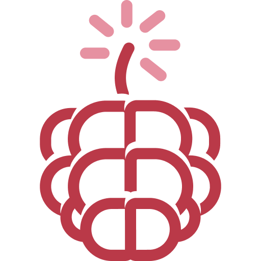 SaaSberry Innovation Laboratories